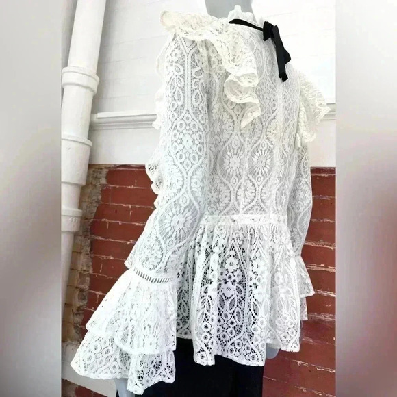 Amaryllis Lace High Neck Blouse Ruffles Long Sleeve New Romantic Sheer - Picture 8 of 15